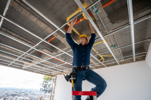 Best Residential Plumbing Services  in Riverside, IA